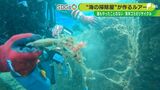 使えないルアーを“新品”に 鉛は溶かし型取り 色付けは自ら 海の掃除屋「不死鳥のように」【SDGs】 | 静岡のニュース | SBSNEWS | 静岡放送