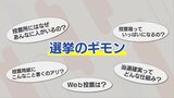 選挙区と比例代表の違いって?係の人って何してるの?『選挙のギモン』答えます!|TBS NEWS DIG