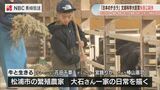 民間放送教育協会ドキュメンタリー番組『日本のチカラ』で『牛と生きる~長崎・鷹島あったか家族』が最高賞 | 長崎のニュース | 天気 | NBC長崎放送