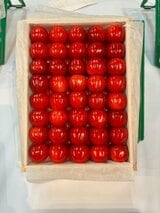 天童産さくらんぼ「佐藤錦」が過去最高値180万円で落札　東京・大田市場（山形）|TBS NEWS DIG