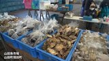 「海の幸をたくさんの人に知ってもらいたい」カキにホタテそしてサケ 海産物集めた産直まつり盛況 環境問題に取り組む子どもたち提案の「帆立カレードリア」販売も 岩手・山田町|TBS NEWS DIG