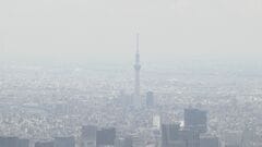 4月の全国の倒産件数　899件　前年同月比+8.8％　原材料価格上昇で「物価高倒産」は最多| TBS CROSS DIG with Bloomberg