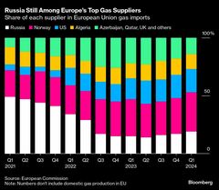 欧州がロシア産エネルギー依存から脱却できない理由とは－QuickTake| TBS CROSS DIG with Bloomberg
