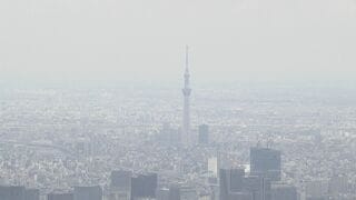 4月の全国の倒産件数　899件　前年同月比+8.8％　原材料価格上昇で「物価高倒産」は最多| TBS CROSS DIG with Bloomberg