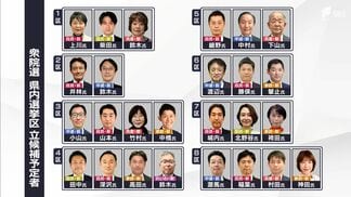 【記者解説】静岡県内は4区・6区が激戦予想 「中道改革連合」結成で公明票どうなる？ 戦後最短の超短期決戦へ【衆議院選挙2026】　|　静岡のニュース | SBSNEWS | 静岡放送