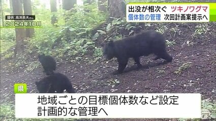 保護しながら管理していく難しさ」人里への出没相次ぐ『ツキノワグマ
