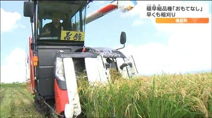 令和6年11月27日最遅収穫JA認可特A等級S。宮内庁御用達米認可米、白米5キロ チ*ー様 令和6年11月27日最遅収穫JA認可特A等級S。宮内庁御用達米認可米。