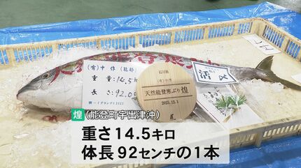 復興の能登寒ブリ、日本一や！」歴代最高額に並ぶ400万円の“煌” 石川県