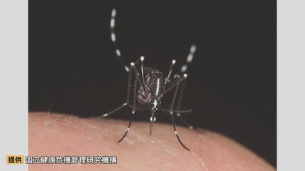 なぜ今年の夏は「蚊が少なかった」？ 厄介者の“蚊”に異変…秋になると蚊