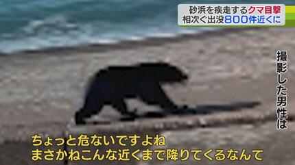 クマが砂浜疾走も 後を絶たないクマ出没「恐怖感がすごかった」襲われ