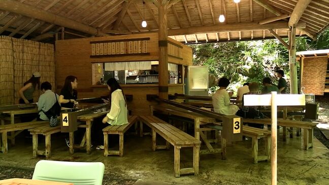 山乗渓谷に茶屋「涼水亭」がオープン 地下水で冷やされた「流しそうめん」で涼を満喫【岡山・真庭市】|TBS NEWS DIG