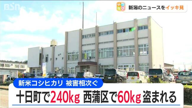 “新米”の窃盗被害 相次ぐ　新潟県内|TBS NEWS DIG