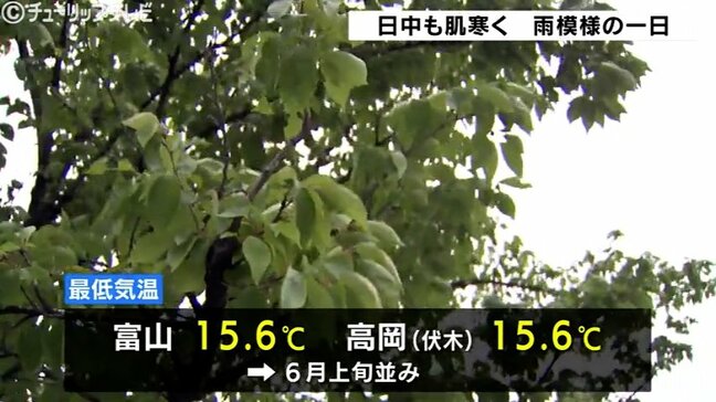 富山県内傘の手放せない一日に　低気圧の影響でやや強い西の風　最高気温１９℃予想で肌寒く　|TBS NEWS DIG