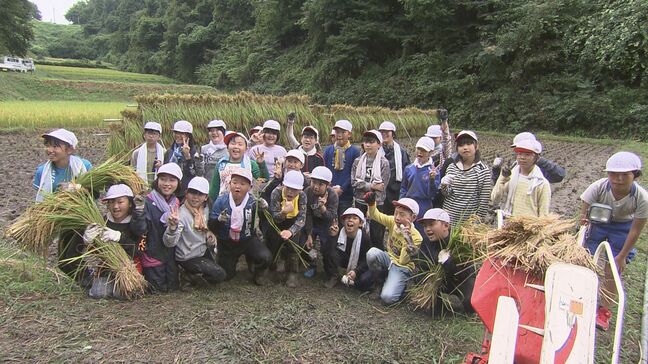 「楽しさも大変さも…」小学生が「田んぼの学校」で稲刈り体験 福島・二本松市|TBS NEWS DIG
