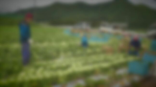 「日本に来るために100万円以上の借金」増加するベトナム人犯罪 在留資格失ない不法残留状態は1万人以上…技能実習生はなぜ失踪するのか その背景にあるものとは?長野|TBS NEWS DIG