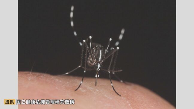 なぜ今年の夏は「蚊が少なかった」？　厄介者の“蚊”に異変…秋になると蚊の活動が活発になるって本当？　専門家に聞いてみると…|TBS NEWS DIG