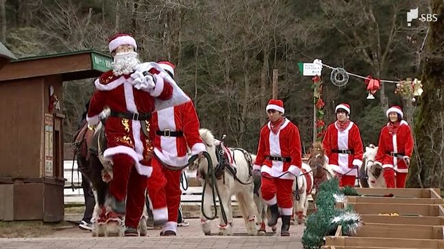 観光施設でクリスマスイベント 動物たちがパレードでムード盛り上げる =静岡|TBS NEWS DIG