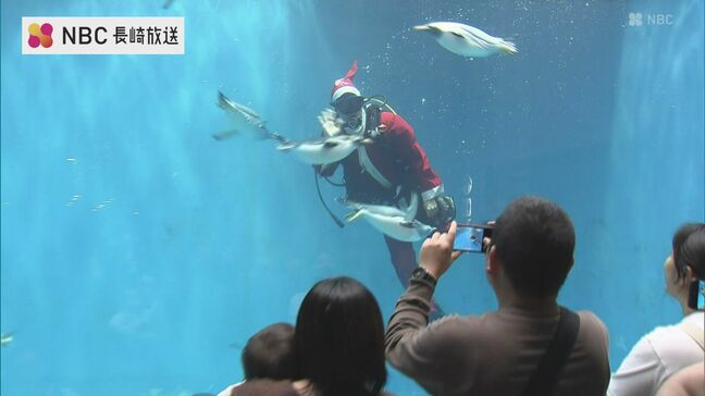 サンタからペンギンたちへ！ 水族館のハッピークリスマス|TBS NEWS DIG