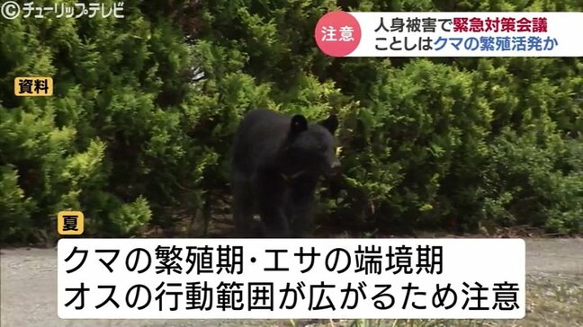 ことしはクマの繁殖活発か 出没時の連絡態勢などを確認 クマ人身被害受け、県が緊急対策会議 富山|TBS NEWS DIG