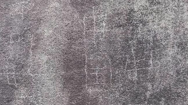 国の史跡 高松城跡の天守台の石垣に落書き　「中国」「日本」などと読み取れる文字【香川】|TBS NEWS DIG