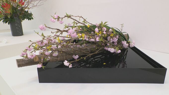 流派の垣根超えた100点一同に 春や初夏イメージの作品集まる・石川県いけばな展　|　石川県のニュース｜MRO北陸放送
