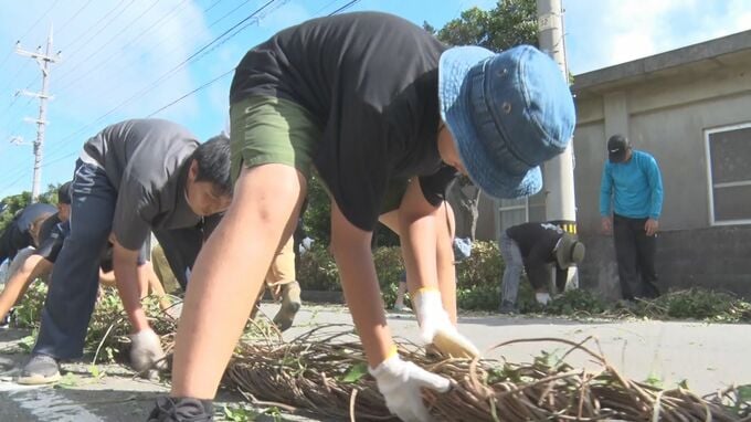 豊作か豊漁か？東西に分けれて「キャーン」と呼ばれるツル植物の大綱引きあう 宮古島市宮国の伝統行事|TBS NEWS DIG