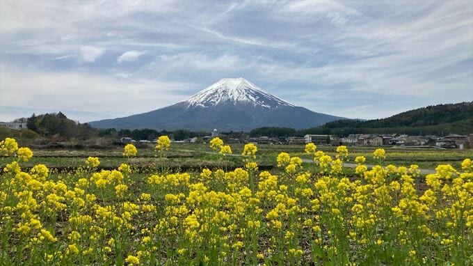 【速報】富士山に「農鳥」　例年より一足早く　|　山梨のニュース | ＵＴＹテレビ山梨