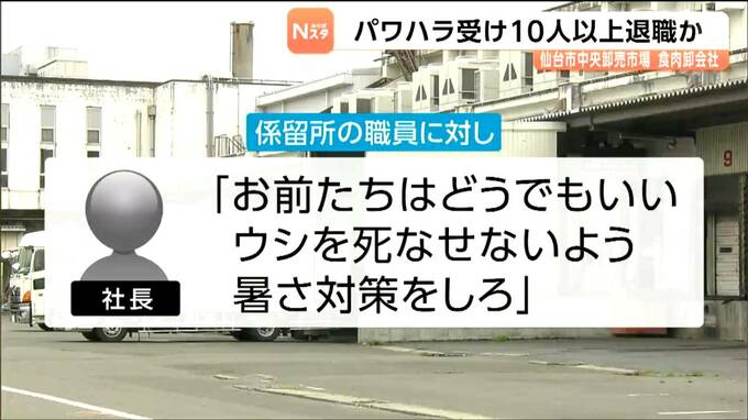 「お前たちはどうでもいい。ウシを死なせないよう暑さ対策をしろ」仙台市中央卸売市場の食肉卸売会社で社長のパワハラ横行か　法的措置も検討|TBS NEWS DIG