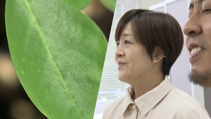 CO2吸収量が多く、豊富な栄養素のスーパーフード「モリンガ」　魅力広めるテーマソング♪が完成…その名も「しあわせのモリンガ」歌詞に込められた思いとは「永遠に歌い続けられるような歌に」|TBS NEWS DIG