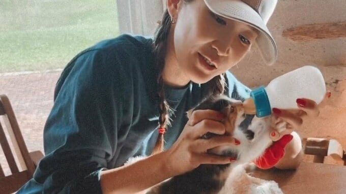 【紗栄子】保護猫活動を本格化「計105匹の猫をレスキュー」”これからも協力していきたい”|TBS NEWS DIG