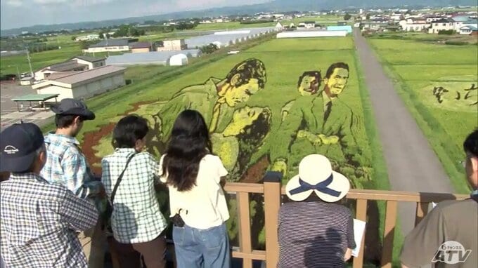 田んぼをキャンパスに8色・12種類の稲で描くのは不朽の名作「ローマの休日」のワンシーンなど　青森県田舎館村『田んぼアート』に大勢の観光客「本当に映画のシーンが浮かぶよう」|TBS NEWS DIG