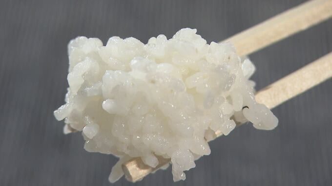 安くておいしいコメ「取り合い」に…去年の猛暑とインバウンド需要で価格高騰　コメ農家も危機感|TBS NEWS DIG