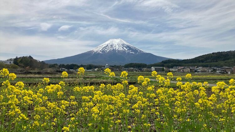 速報】富士山に「農鳥」 例年より一足早く | TBS NEWS DIG フォト