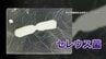 “チャーハン症候群”に注意　味やにおいに変化がない食中毒　加熱しても死滅しないセレウス菌の有効な予防法は　山梨　|　山梨のニュース | ＵＴＹテレビ山梨
