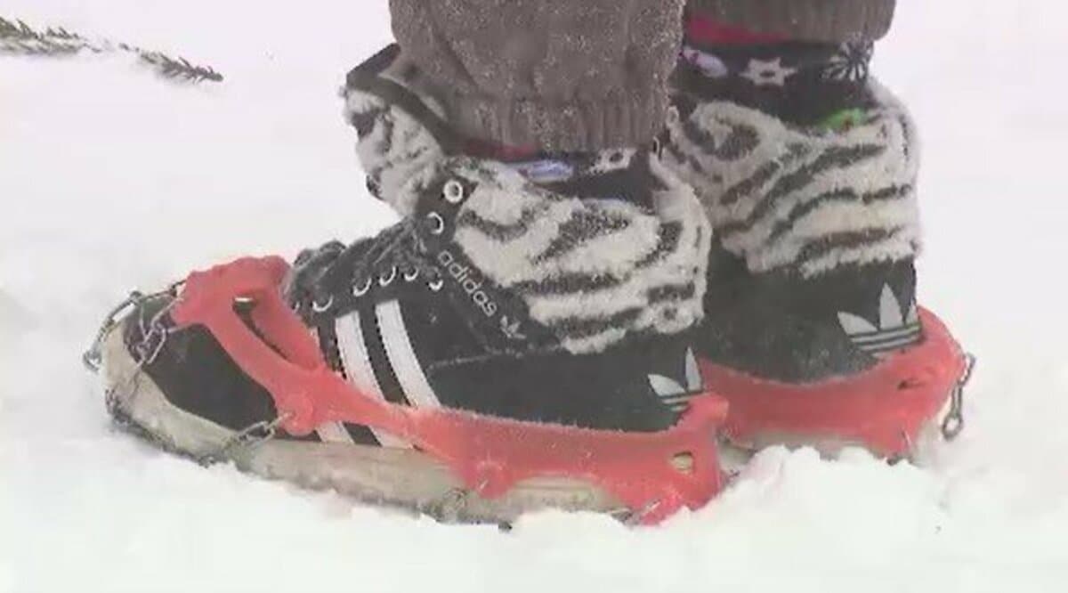 市街地のバス停になぜ…？登山用「アイゼン」放置…杉並木で人気の観光地