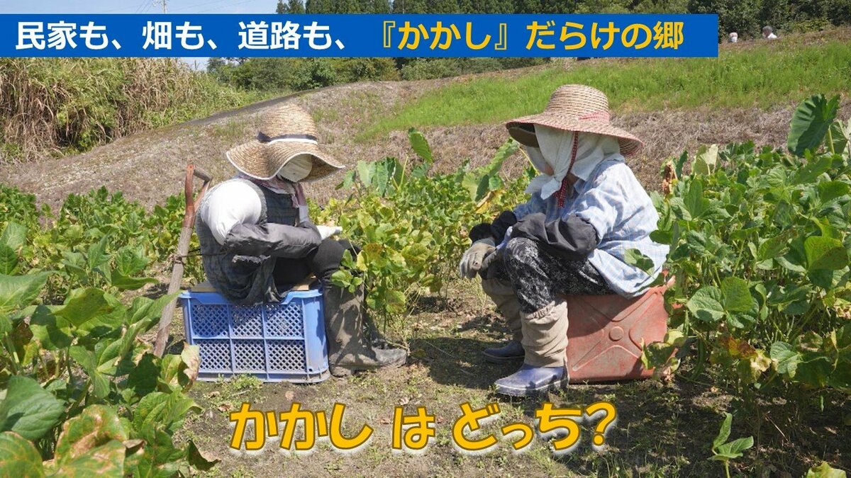 “おばあちゃん”と“かかし”がそっくりすぎる!「かかしの郷」を宣言した地区 遊び心はついに“歌”まで | TBS NEWS DIG