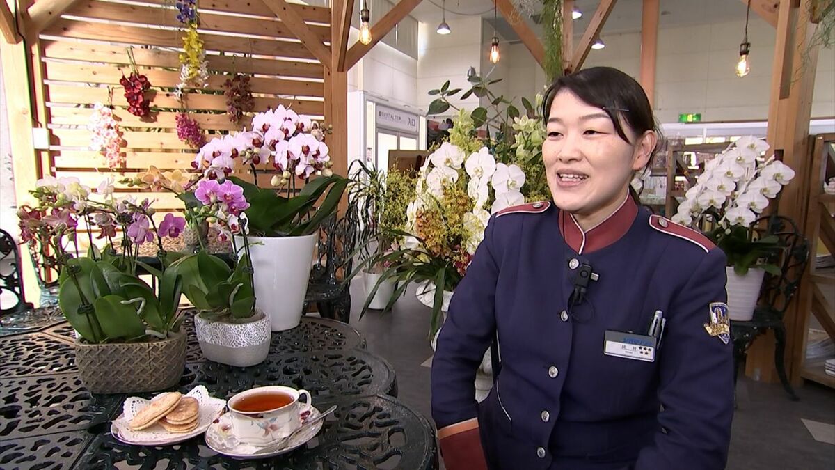 ランの女王」カトレア約100株が並ぶ展示会 丸亀市のレオマリゾート