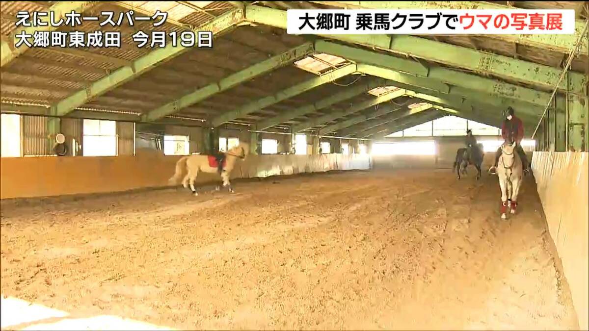 サラブレッドの躍動を捉える 乗馬クラブで飼育されている馬の「写真展