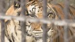 敬老の日に合わせ…動物園でご長寿の動物祝うイベント 長野県須坂市|TBS NEWS DIG