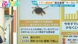 帰省先でも注意!「マダニ感染症」今年10人以上死亡“過去最悪”ペースに…対策は?【ひるおび】|TBS NEWS DIG