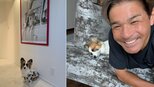 【 いぬ 】照英　愛犬パピコが愛犬テンのアロハシャツを着用「ジャストサイズ！」　ポスターとの2ショットにフォロワー「愛が受け継がれてますね」|TBS NEWS DIG