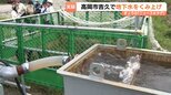 液状化対策「地下水位低下工法」実証実験始まる 地中のパイプから地下水くみ上げ 来年2月まで 能登半島地震で被害 富山・高岡市吉久地区|TBS NEWS DIG