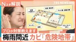 家の中に潜む「カビ」の危険地帯はカーテン!?本格的な梅雨を前に…プロが教えるカビ対策【Nスタ解説】|TBS NEWS DIG