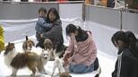 300種類の動物が集結 東北最大級のペットの祭典「ペットカーニバル」 福島・郡山|TBS NEWS DIG