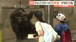 オランウータン「ジェニファー」に熱視線！ ゾウのエサやり体験も  愛媛・とべ動物園|TBS NEWS DIG