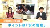 ポイントは水の管理　暑い夏からコメを守る対策は　気象台は「高温になる可能性」（山形）　|　山形のニュース│TUYテレビユー山形