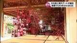 城下町とアートが融合　日南市飫肥で「DENKEN WEEK」始まる　|　MRTニュース ｜ ＭＲＴ宮崎放送
