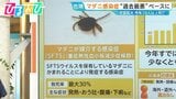 帰省先でも注意!「マダニ感染症」今年10人以上死亡“過去最悪”ペースに…対策は?【ひるおび】|TBS NEWS DIG