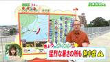 「薄い雲は目立つものの気温はぐんぐん上がり、35℃に達して猛暑日となる所も」宮城の30秒天気 tbc気象台 7日|TBS NEWS DIG