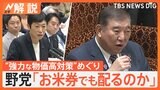 “強力な物価高対策”めぐり…与党トップが揃って謝罪、星浩さん「建前と本音が交錯している状況」【Nスタ解説】|TBS NEWS DIG